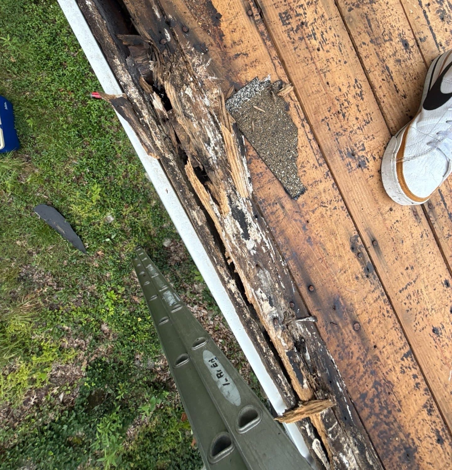 Rotted roof decking discovered during tear-off of a storm-damaged roof